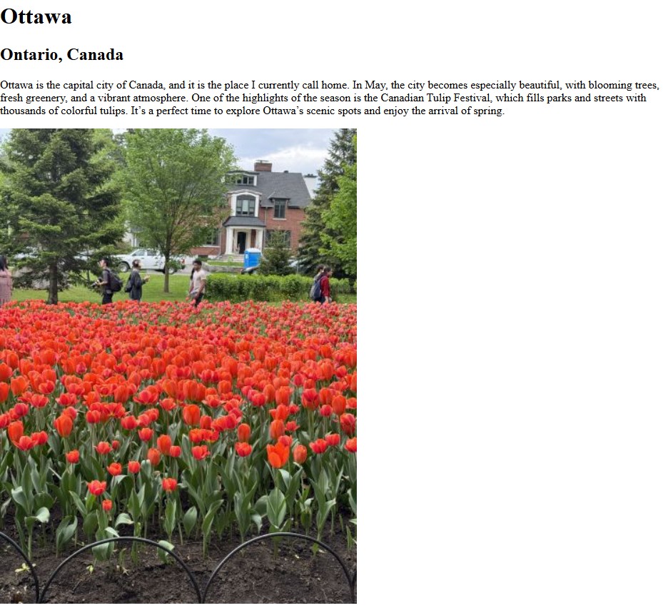 Tulip Festival